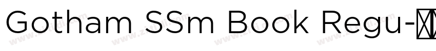 Gotham SSm Book Regu字体转换